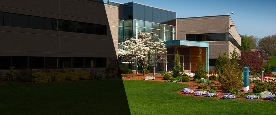 Valley Springs Landscapers